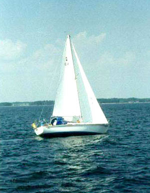 barbara1.jpg