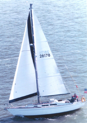 lil_alegria01.jpg