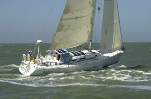 lilalchera01.jpg