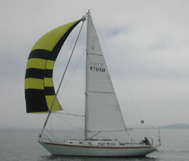 lilergo03.jpg