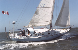 lilhaulback02.jpg