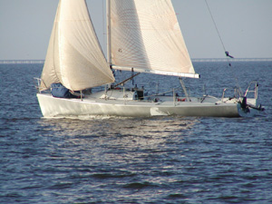 surfinn01.jpg